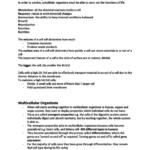 IB Biology Standard Level (SL) notes