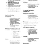 IGCSE Biology full chapter notes
