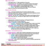 Healthy Ageing (MEDI151) full summary notes