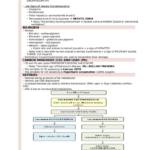 NLE Nursing exam review