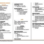 Summary of Drug Classifications under Pharmacology