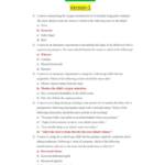 ATI PN Pediatric proctored exam (26 versions | 2021 latest) 2000+ Q & A test bank