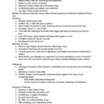U.S. Era of Civil War & Recon (UN2432) final exam notes