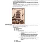 Cognition (PSYC 313) notes