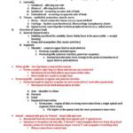 Human Gross Anatomy (PHYT M8100) complete notes