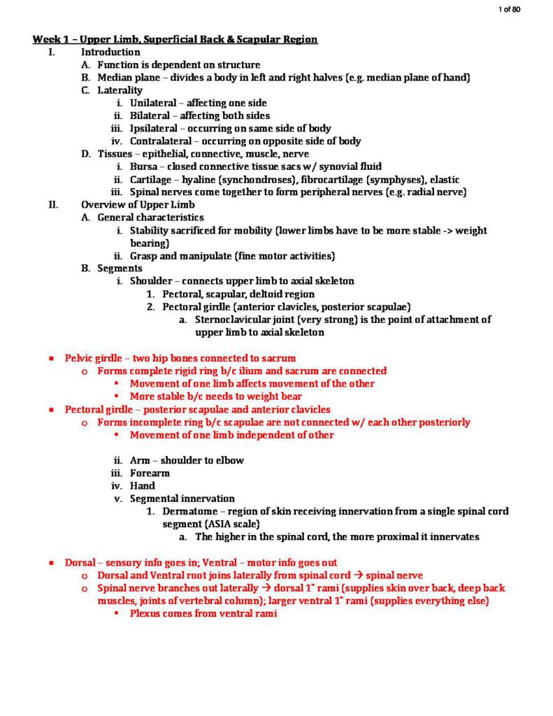 Human Gross Anatomy (PHYT M8100) complete notes