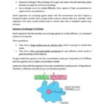 Edexcel IGCSE Biology (9-1) Gaseous Exchange notes
