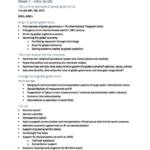 Global Governance (ATS2624) complete HD notes