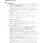 Translating Cultures 1 (15PJKH019) notes