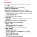 Sociology of Education (2144) final exam notes