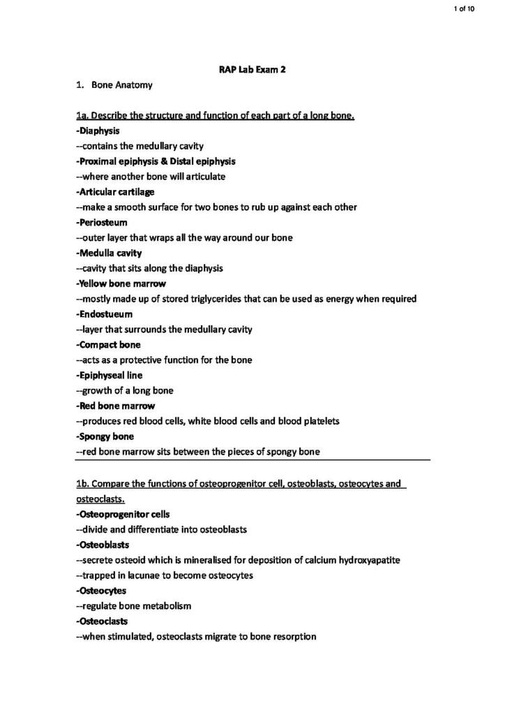 Regional Anatomy and Physiology (9808) Lab Exam 2 notes