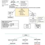 BTC Criminal Litigation HD mindmaps