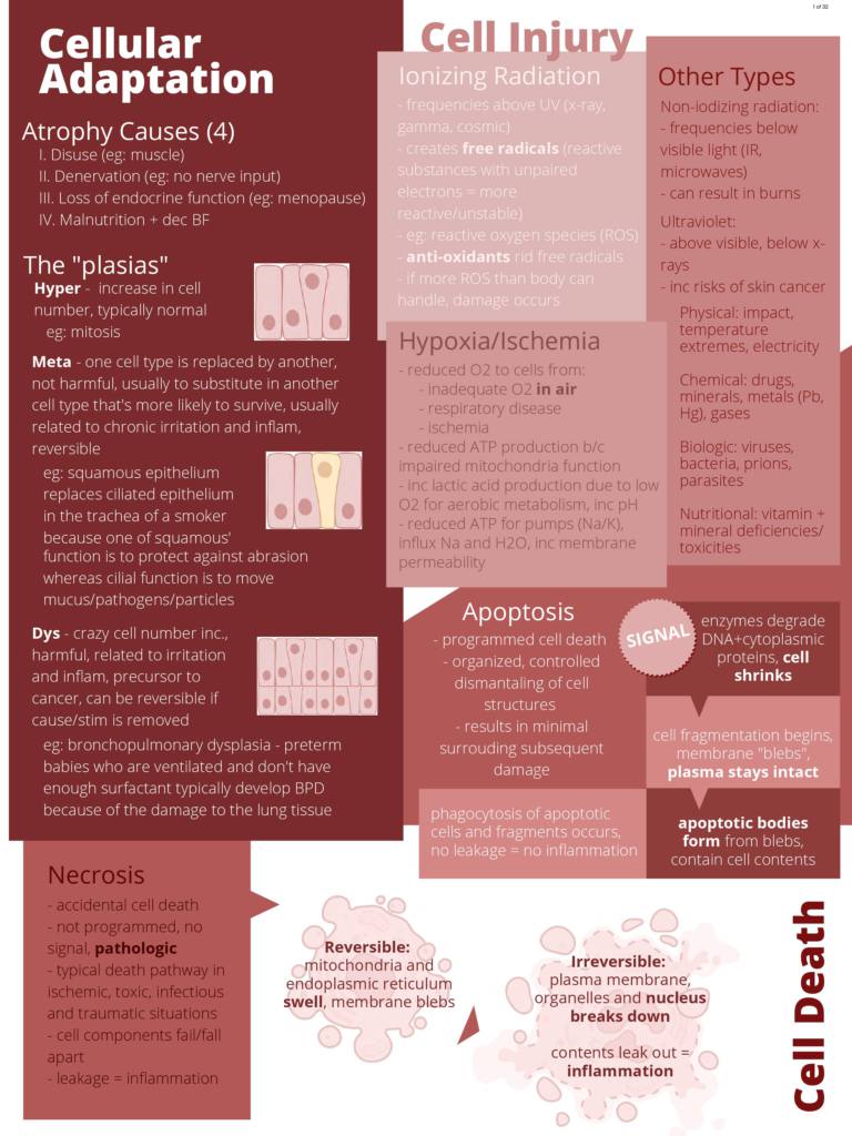 Pathophysiology for Athletic Therapy (PHYG 20587) notes