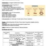 Biology Manual for middle school