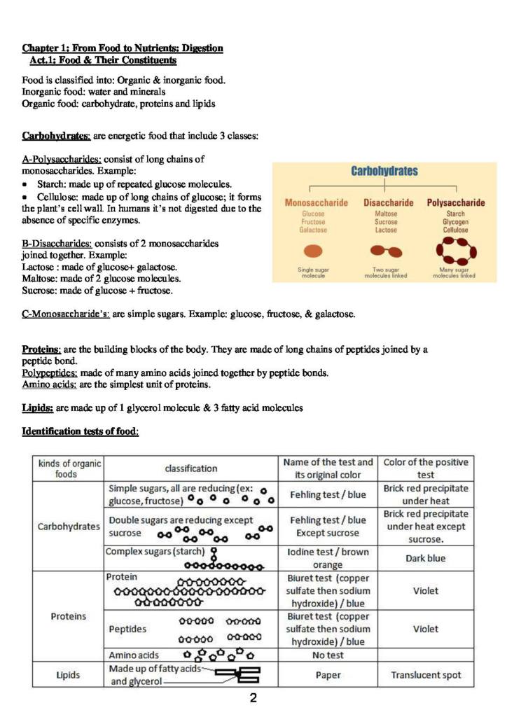 Biology Manual for middle school