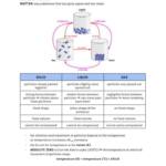 IB Chemistry SL and HL core (11 topics) notes