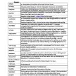 Foundations of Professional Practice 2A (NURS2101) summary notes
