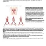NCLEX Uworld Rationals 1 (2022) A+ exam guide