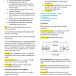Introductory Macroeconomics (ECON1002) textbook notes