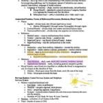 Head and Neck Anatomy (BAS01-DN.1608) study guide