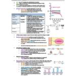 Foundations of Biochemistry (BIOSCI 106) complete notes bundle