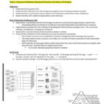 Enterprise Architectures (ICT301) full notes