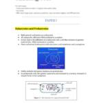 GCSE Biology (2022) revision notes