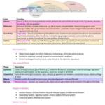Introduction to Anatomy and Physiology II (MEDI112) HD summary notes