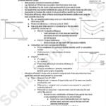 Cambridge A-Level Economics (9708-A2 Only) notes