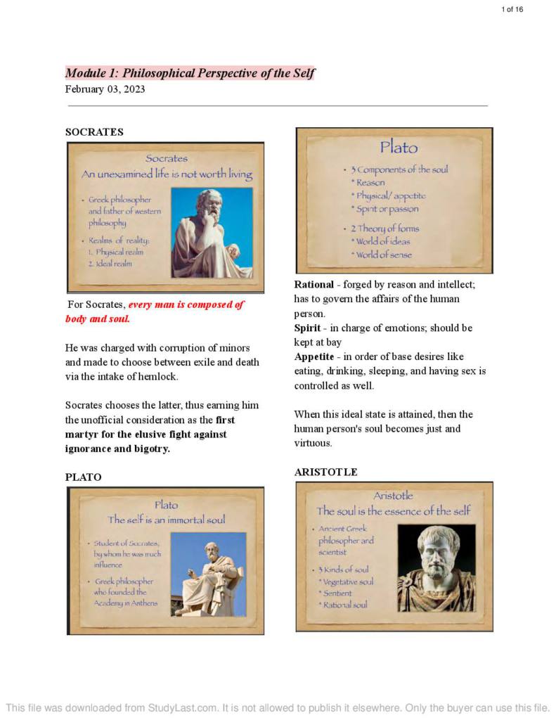 Perspective of the Self (COPY 11) midterm lecture notes
