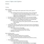 Perception, Cognition, and Intelligence (PSYC2016) lecture notes
