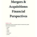 Mergers & Acquisitions: Financial Perspectives (BMAN24102) full notes