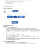 Sport Media (SPEX315) exam notes