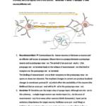 Advanced Human Physiology (PHYS30010) H1 comprehensive notes