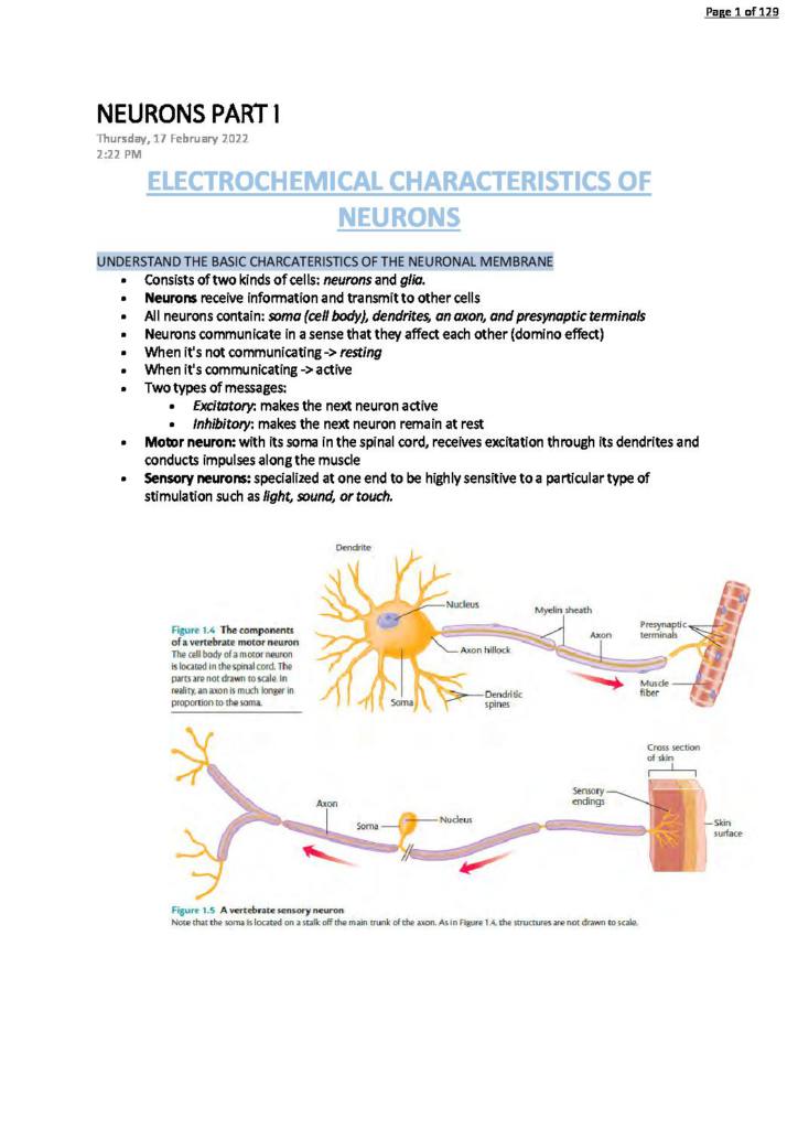 Biological Psychology – Brain and Behaviour (HPS310) complete notes