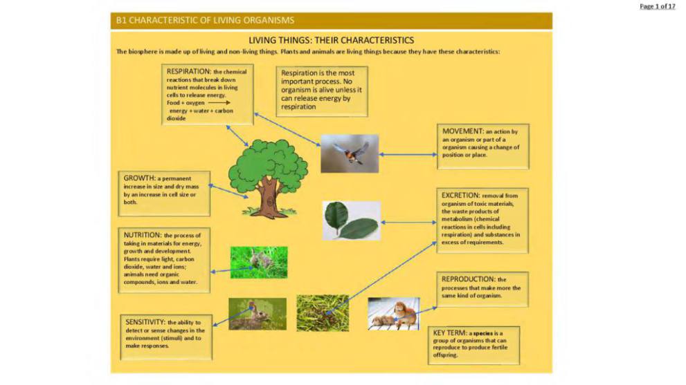 Cambridge Igcse Biology 0610 Exam Revision Notes Studylast Cambridge Igcse Biology 0610 Exam Revision Notes Studylast