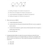 HSC Biology Module 5 sample assessment with answers