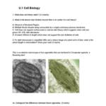 IB Biology (SL&HL) practice questions