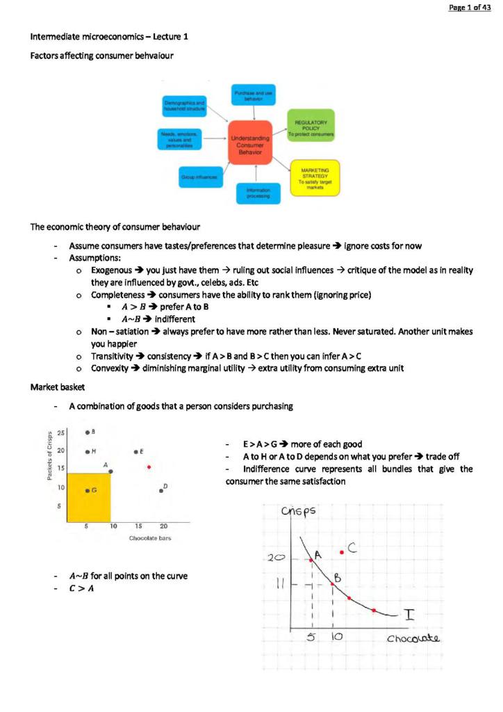 Intermediate Microeconomics (BS2250) notes with an essay