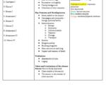 Persian Kings from Cyrus II to Darius III (HSC Ancient History) study notes