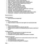 GCSE Physical Education (PE) paper 1 and 2 notes