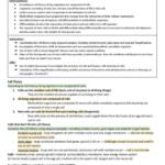 IB Biology all topics notes