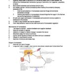 Anatomy and Physiology I: Communication (HTHSCI 2L03) lecture notes