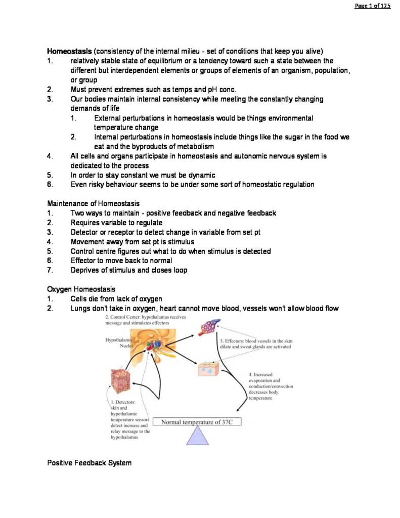 Anatomy and Physiology I: Communication (HTHSCI 2L03) lecture notes