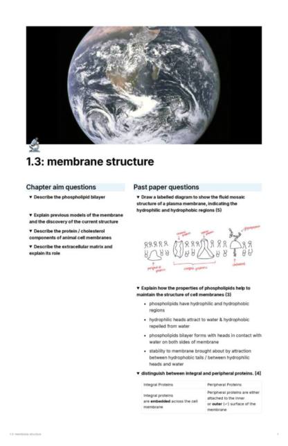 IB Biology Chapter 1 (Cell Biology) notes