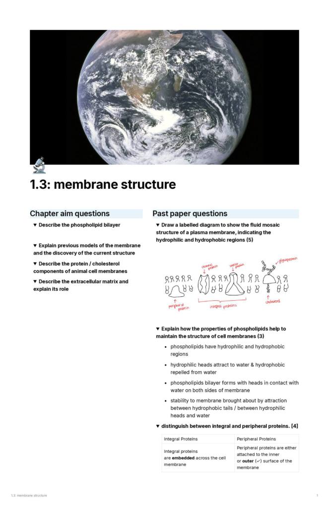 IB Biology Chapter 1 (Cell Biology) notes