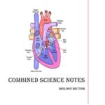 ZIMSEC Ordinary Level Combined Science (4003) Biology notes