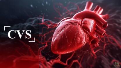 Cardiovascular (CVS) Pharmacology notes and handbook