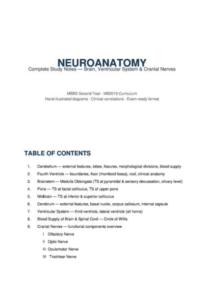 Neuroanatomy Complete Notes