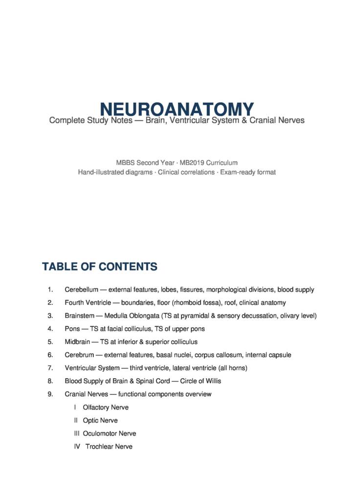 Neuroanatomy Complete Notes